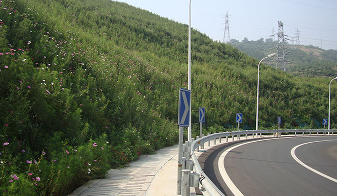 公路及道路邊坡治理及綠化