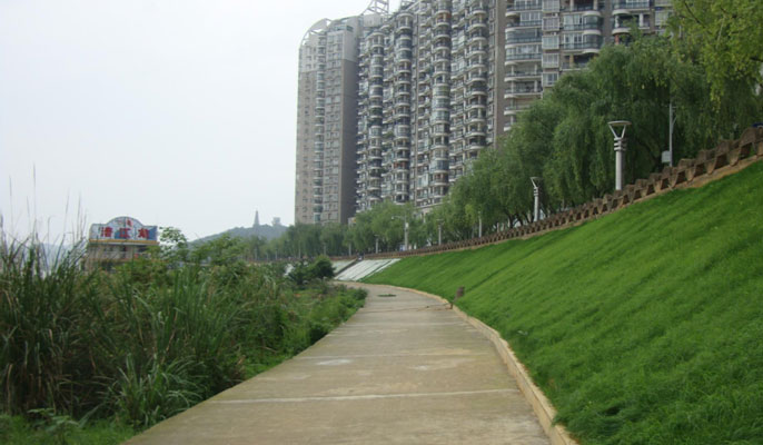 河道及庫區邊坡整治及復綠