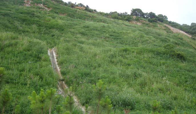 邊坡綠化專用肥噴播綠化施工工藝